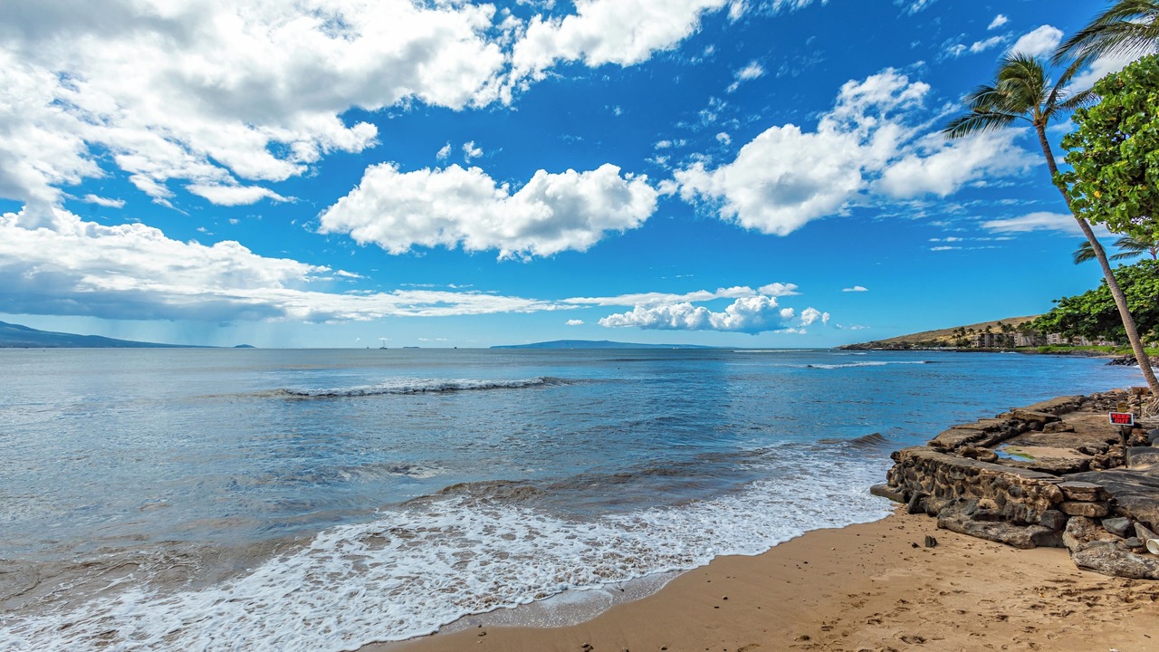 Photo of Others in Maalaea