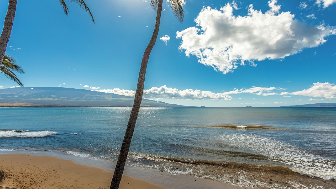 Photo of Others in Maalaea