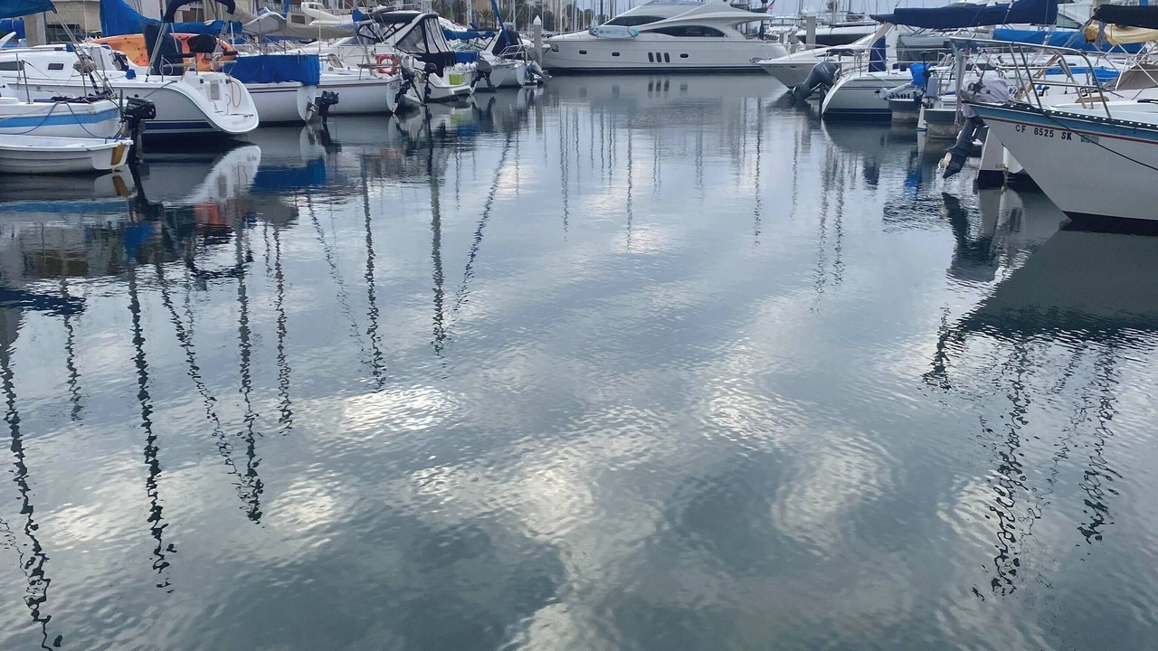 Photo of Others in Marina Peninsula