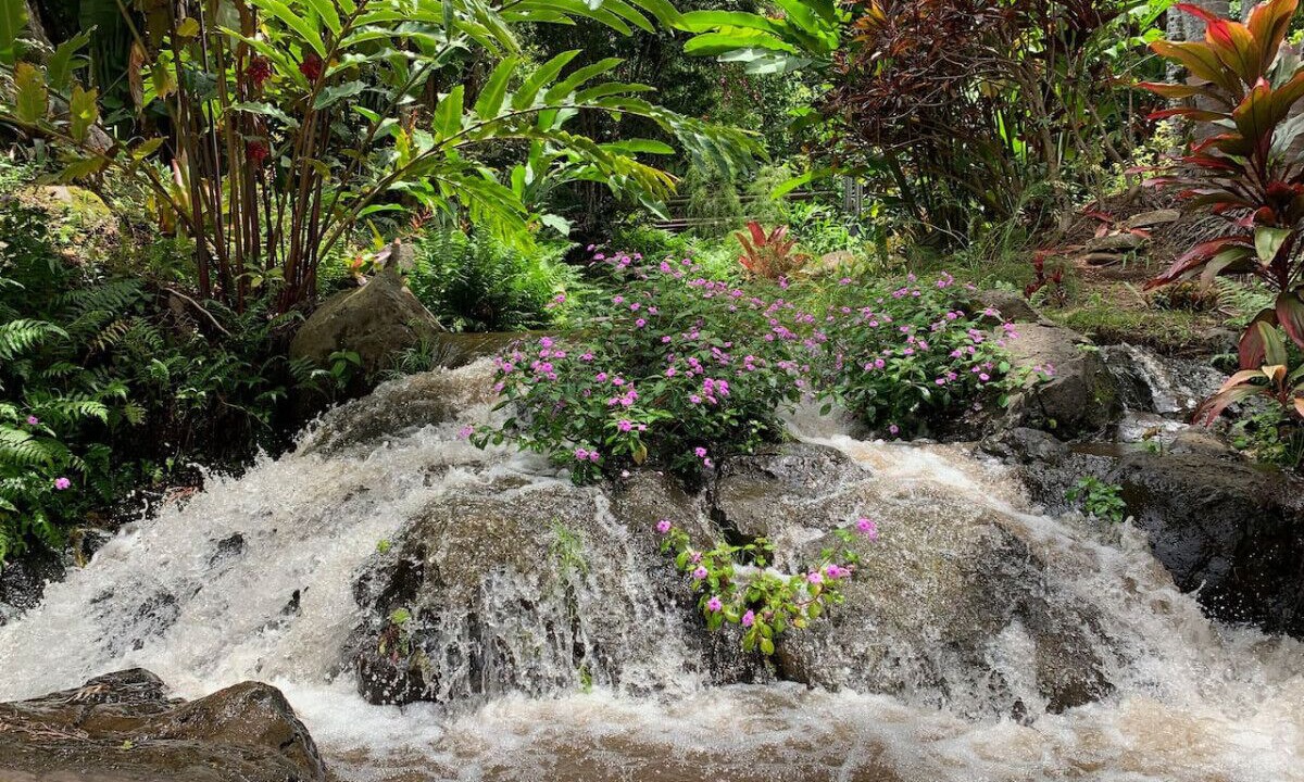 Photo of Outdoor in Kukuihaele