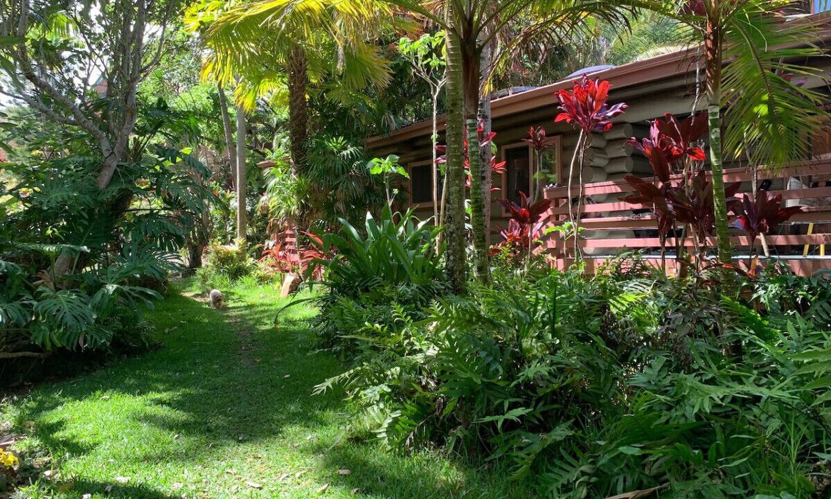 Photo of Outdoor in Kukuihaele