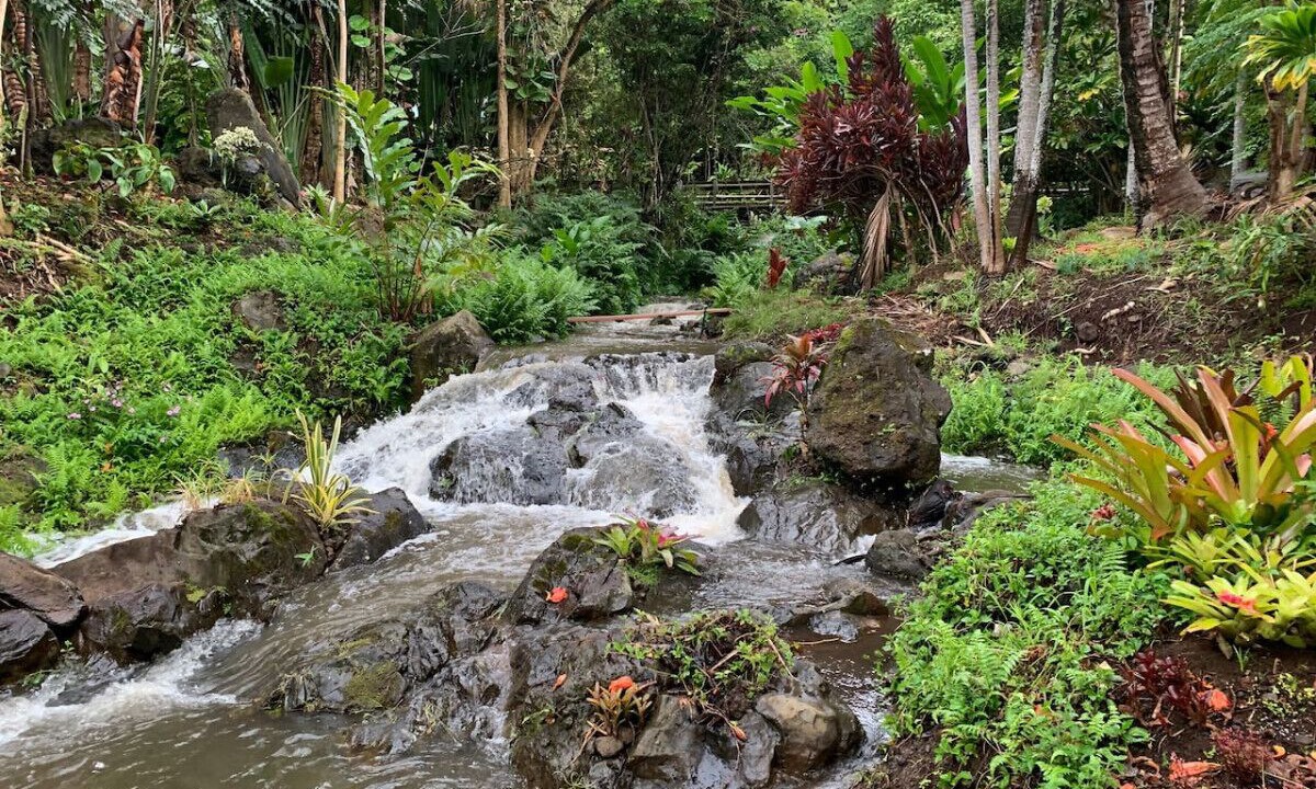 Photo of Outdoor in Kukuihaele