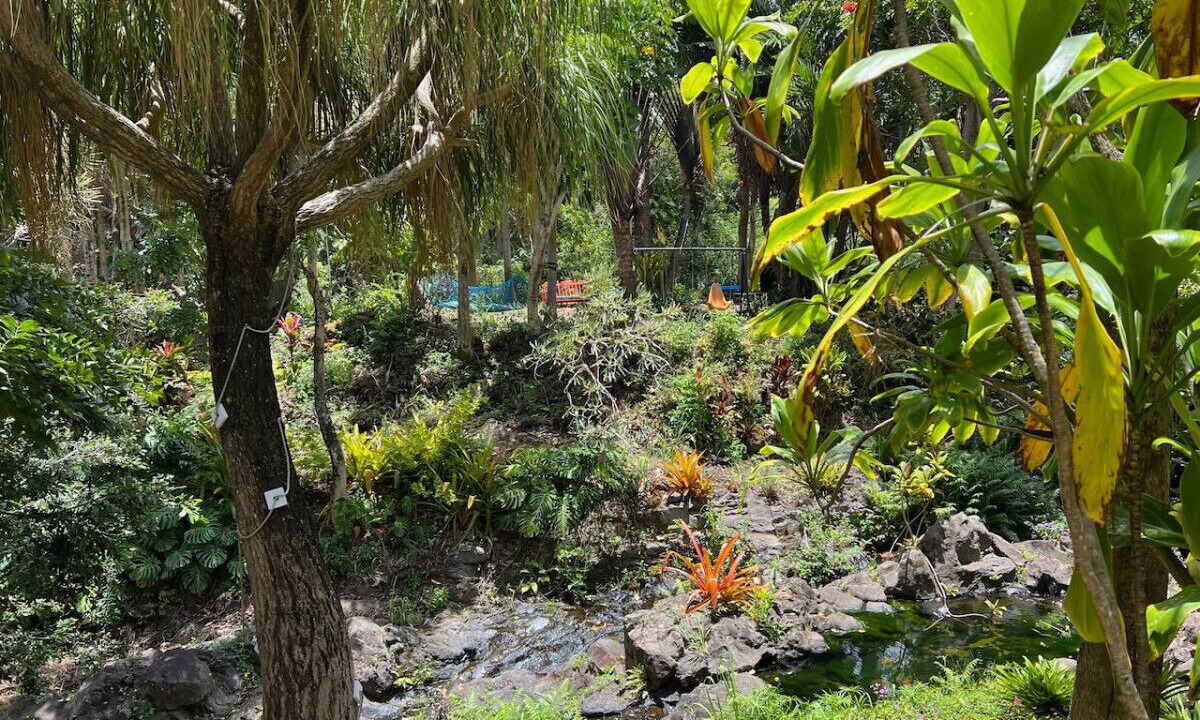 Photo of Outdoor in Kukuihaele
