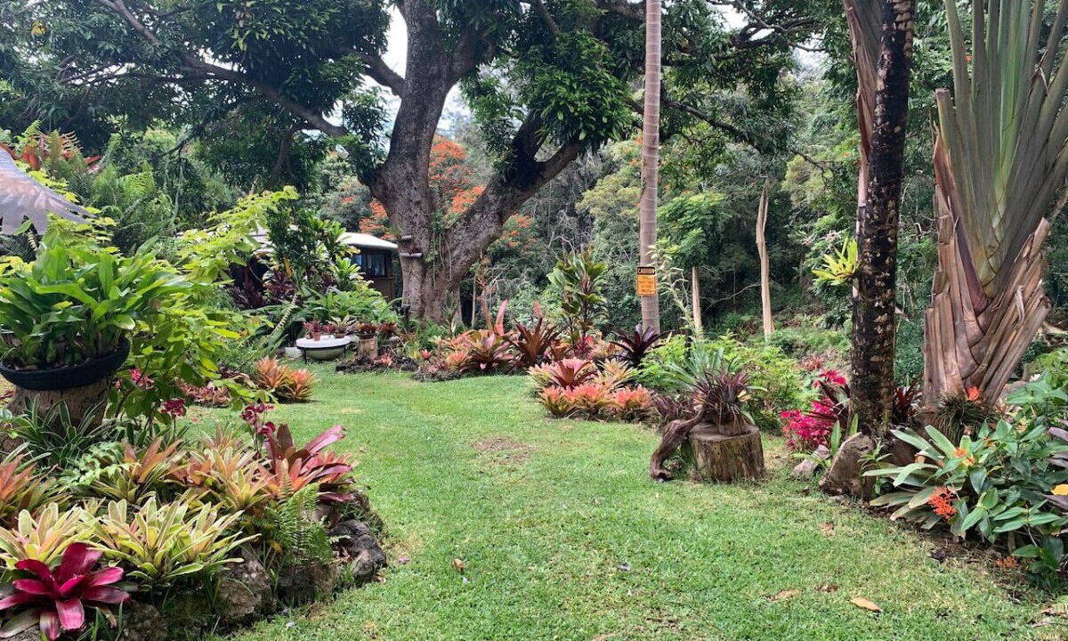 Photo of Outdoor in Kukuihaele