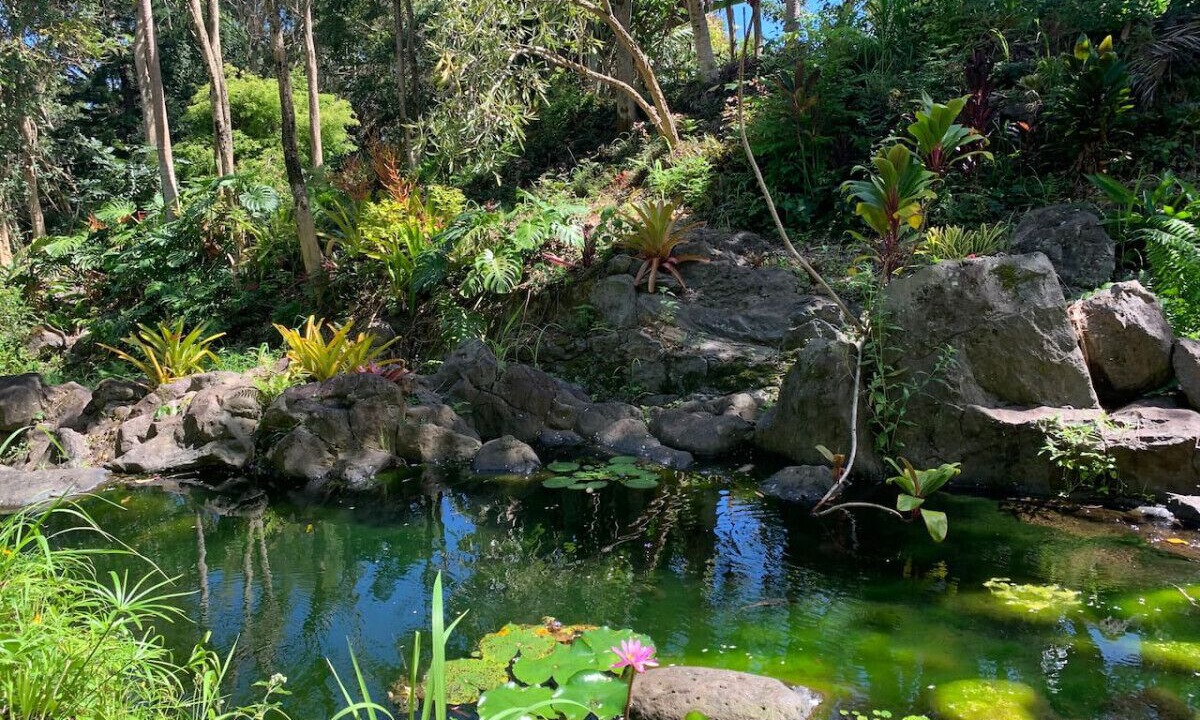 Photo of Outdoor in Kukuihaele