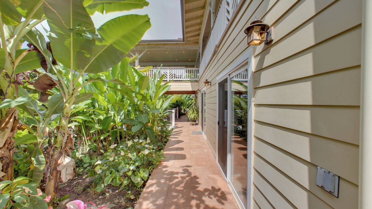 Photo of Outdoor in Holualoa