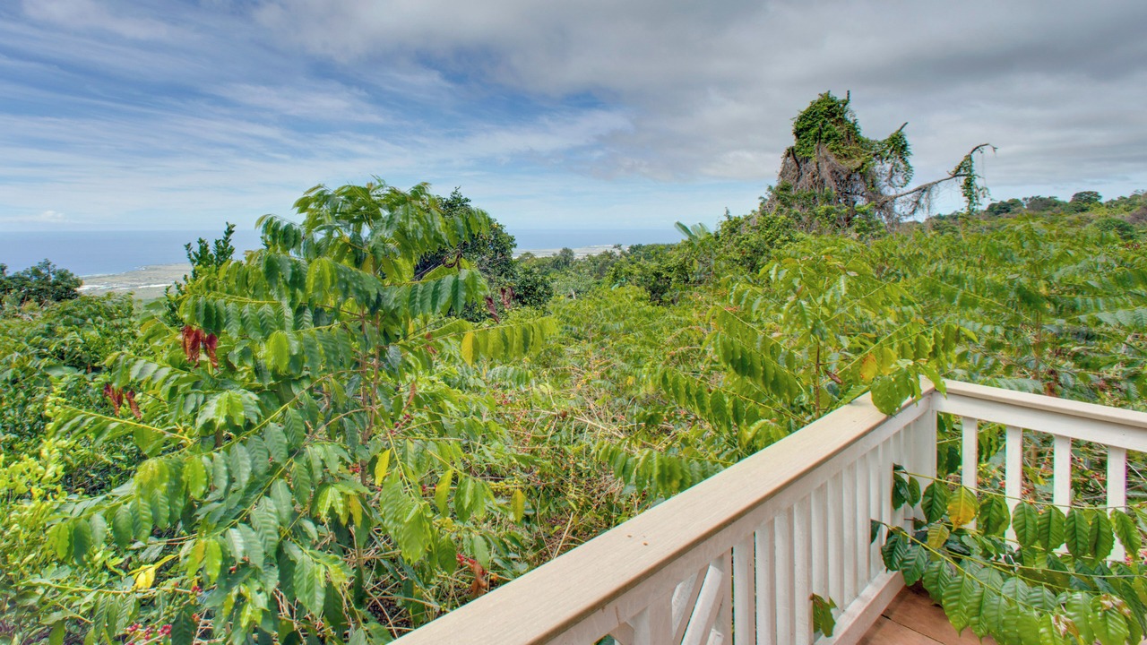 Photo of Outdoor in Holualoa