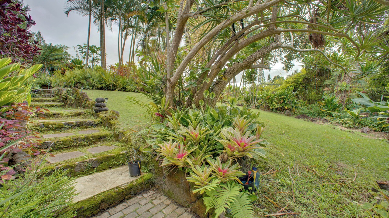 Photo of Outdoor in Holualoa