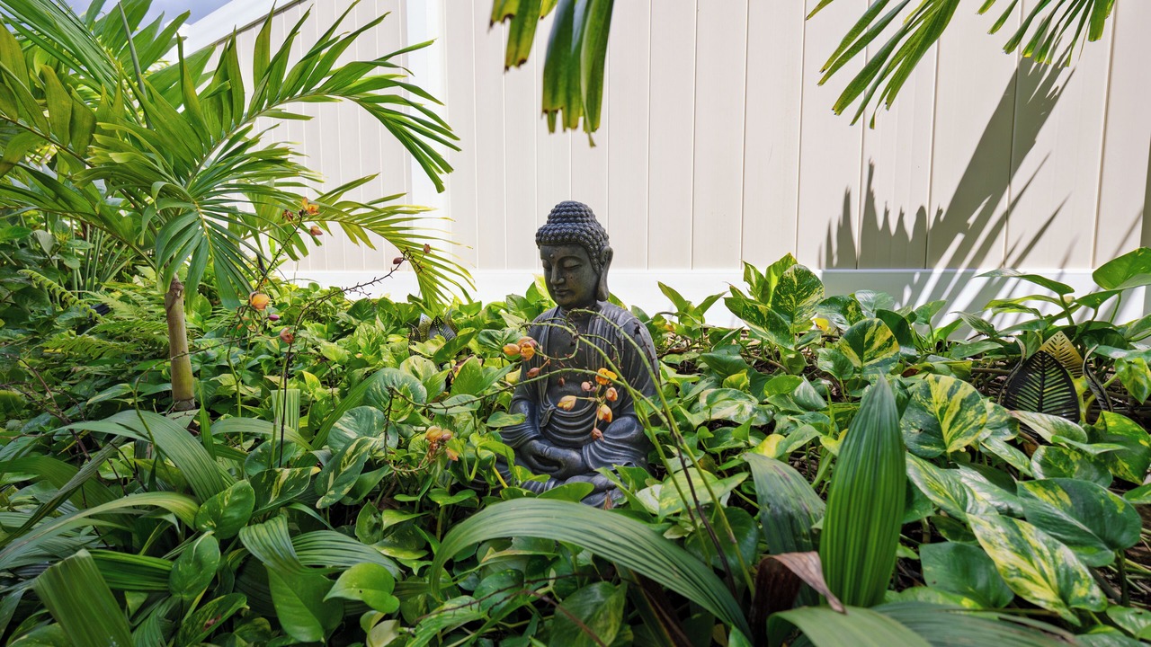 Photo of Outdoor in Makaha Valley