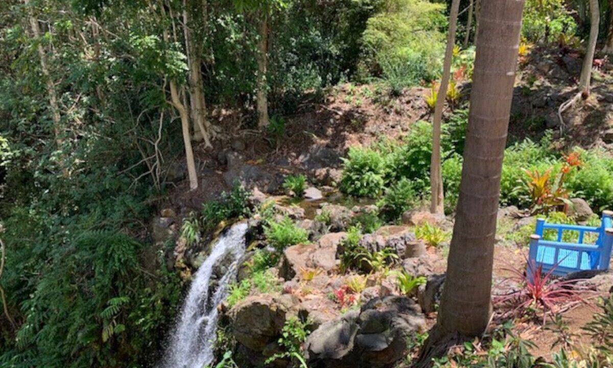 Photo of Outdoor in Kukuihaele