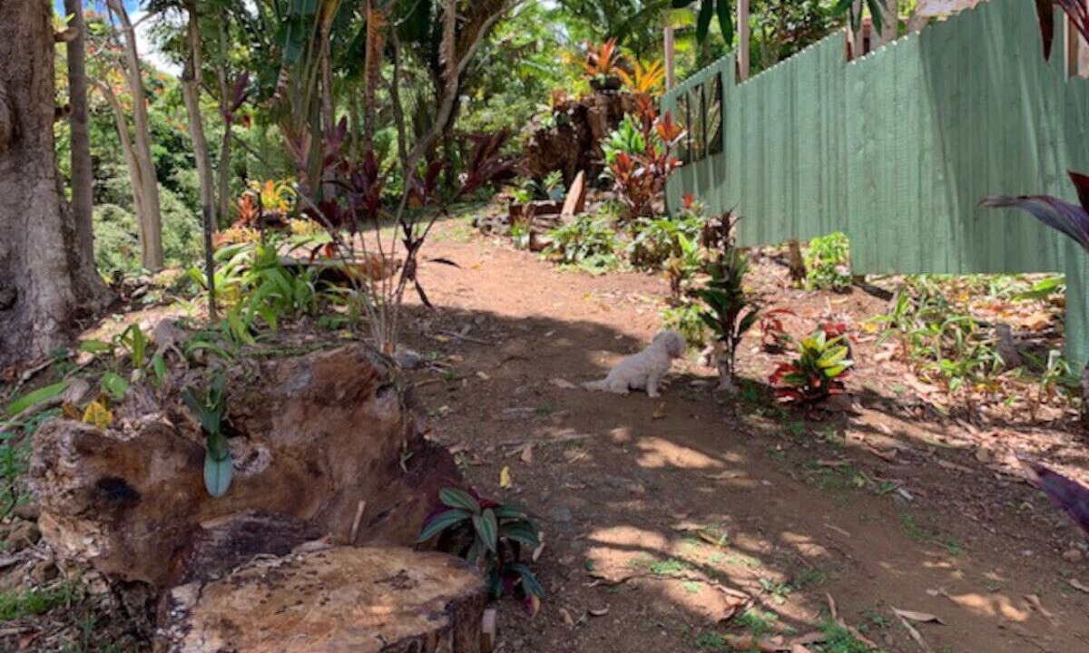 Photo of Outdoor in Kukuihaele