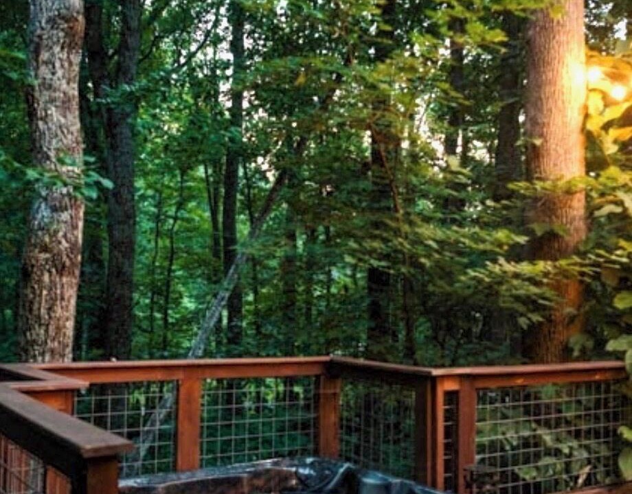 Photo of Outdoor in Lake Lure