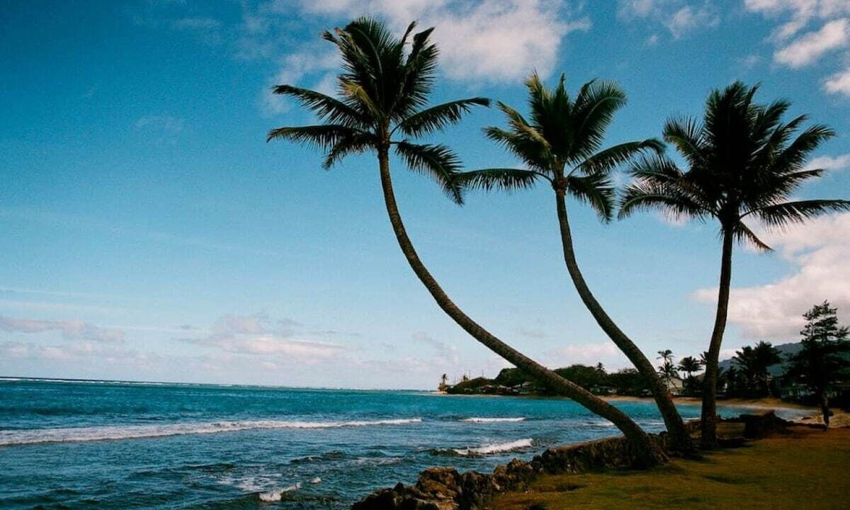 Photo of Others in Hauula