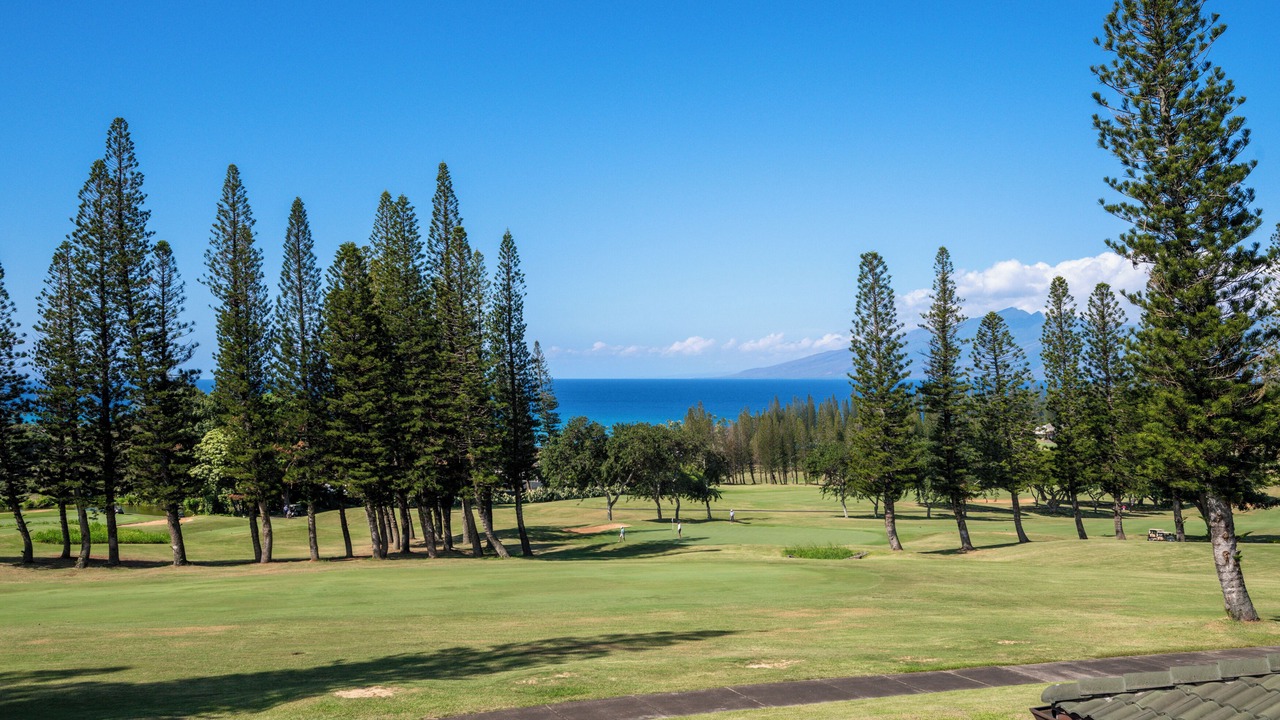 Photo of Others in Kapalua