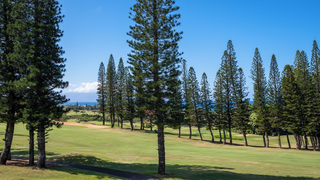 Photo of Others in Kapalua