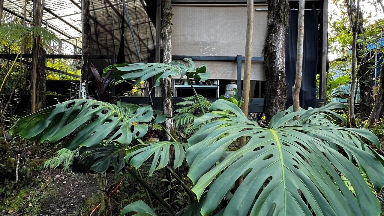 Photo of Outdoor in Eden Roc