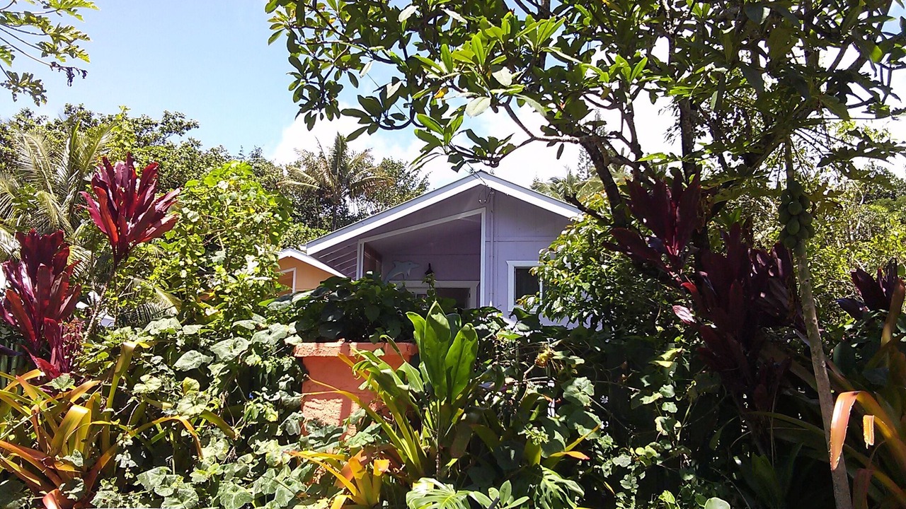 Photo of Others in Kehena Beach Estates