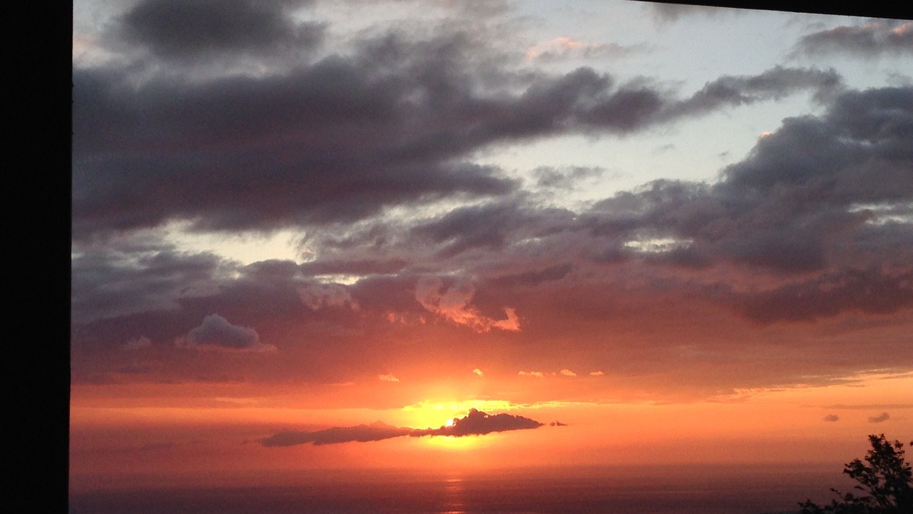 Photo of Others in Holualoa