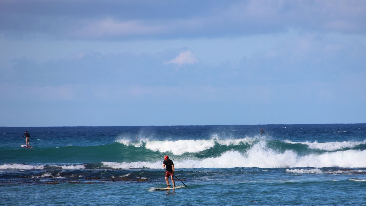 Photo of Others in Diamond Head - Kapahulu - St. Louis