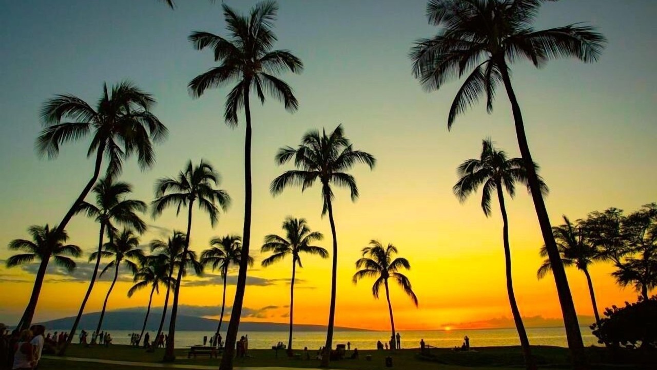 Photo of Others in Kahuku