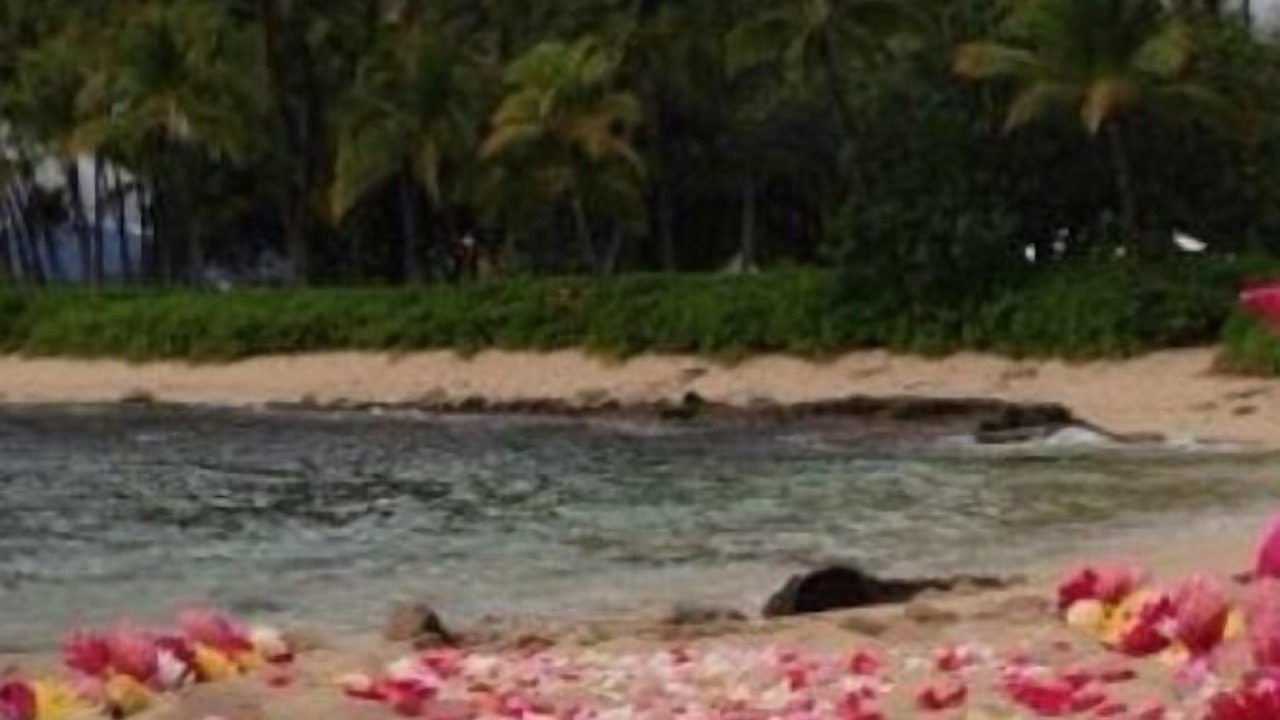Photo of Others in Kahuku