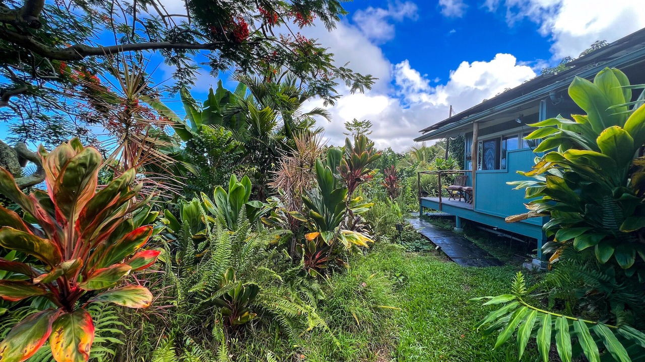 Photo of Outdoor in Kealakekua