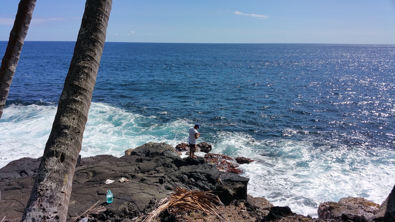 Photo of Others in Kehena Beach Estates