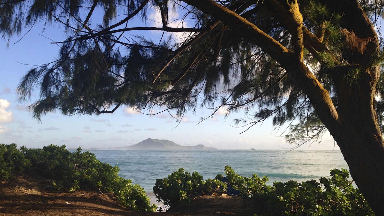 Photo of Others in Kailua