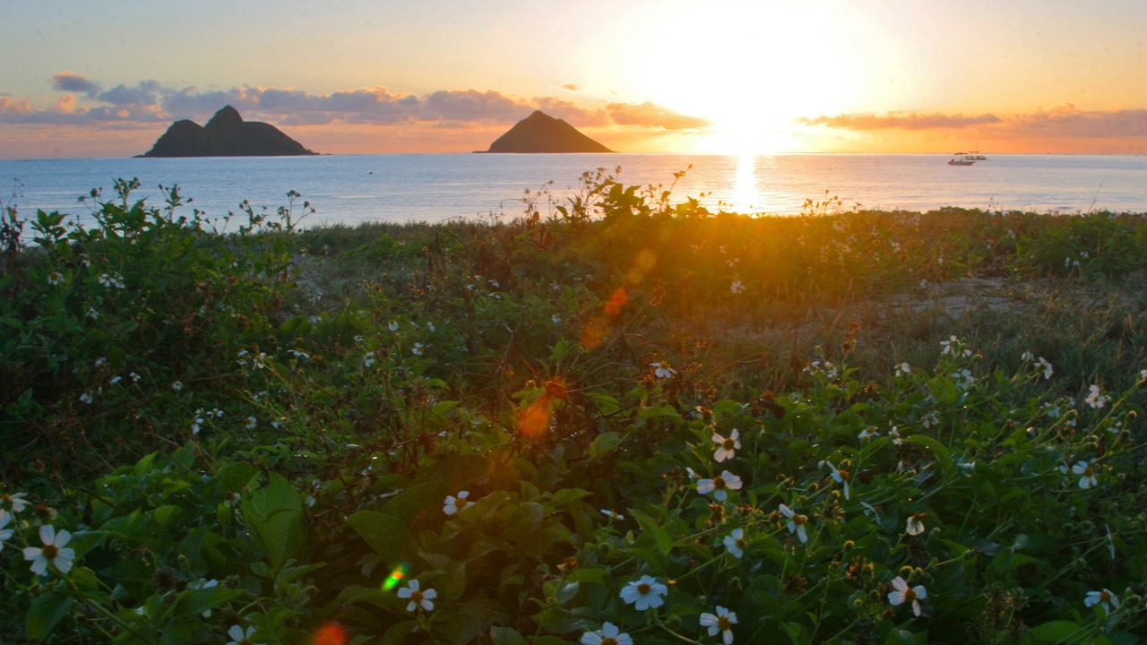 Photo of Others in Kailua
