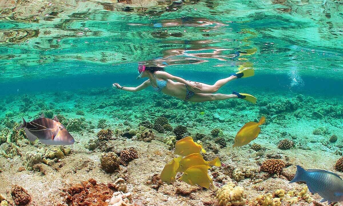 Photo of Others in Kahaluu Bay