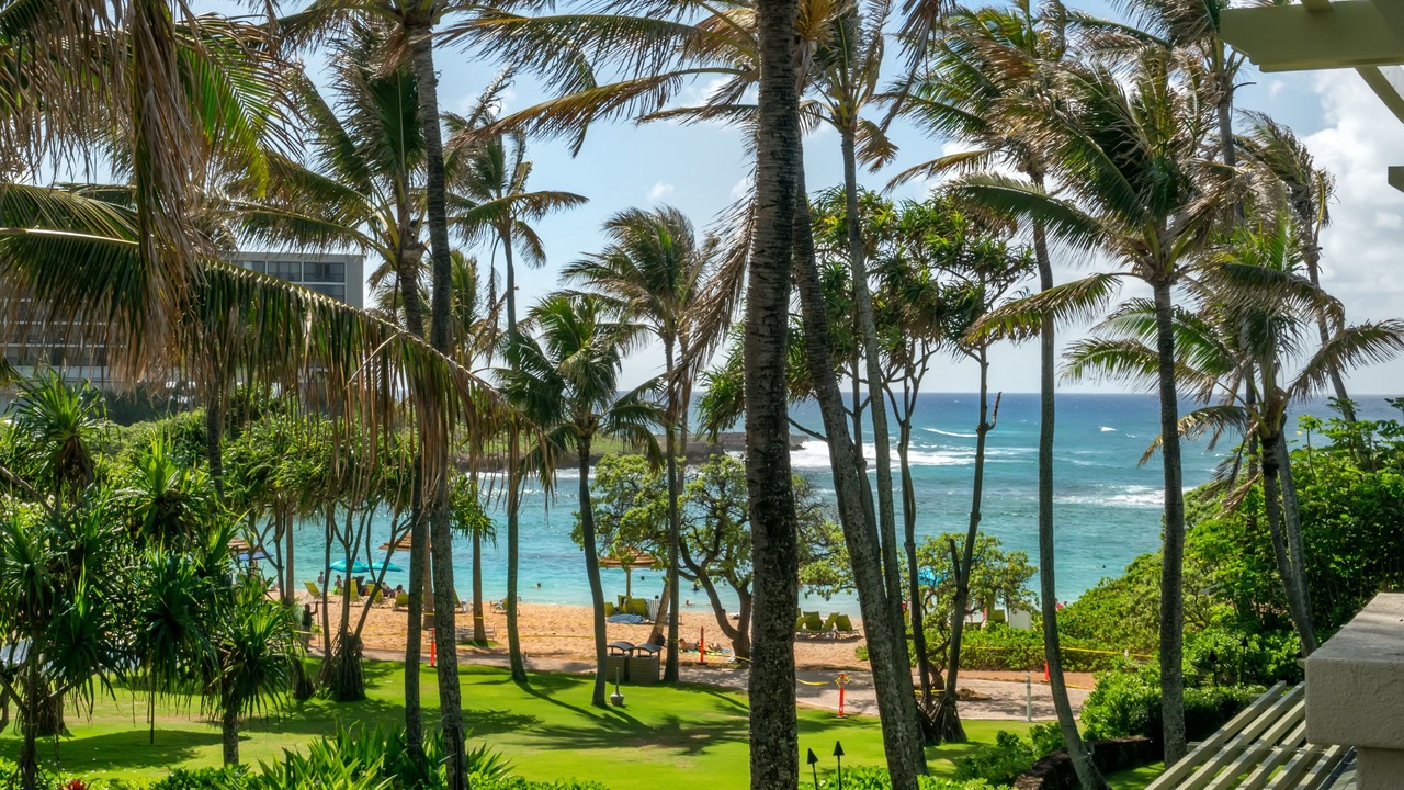Photo of Others in Kahuku