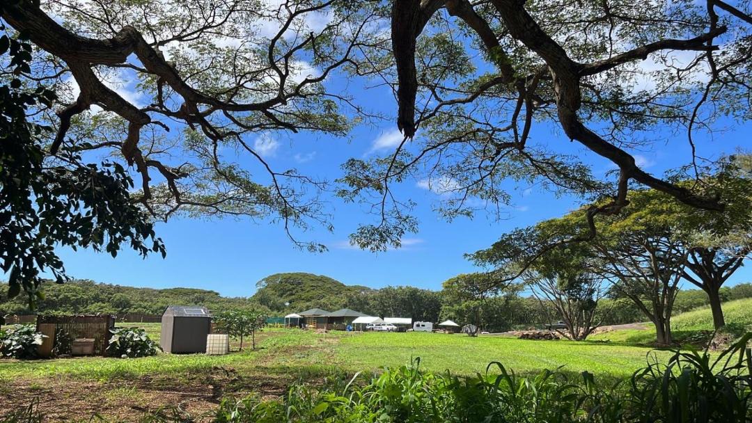 Photo of Others in Haleiwa