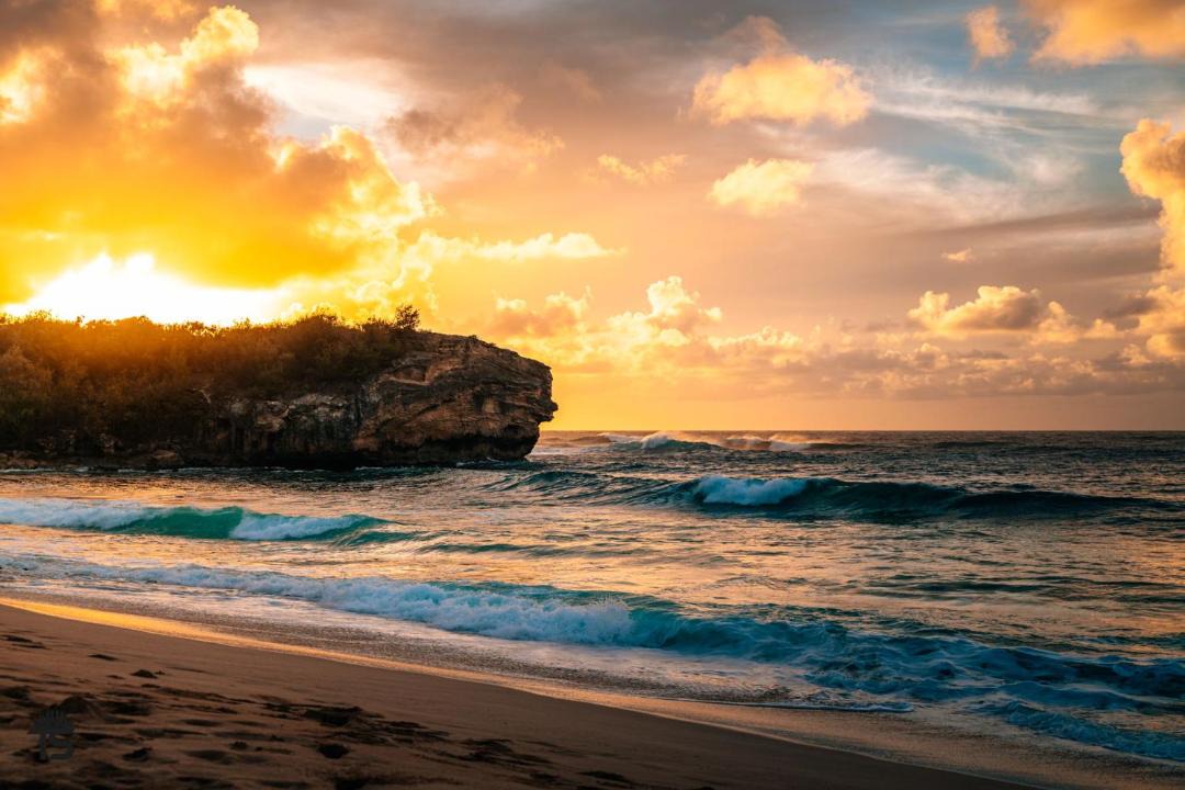 Photo of Others in Poipu