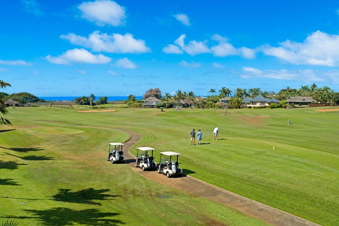 Photo of Others in Poipu