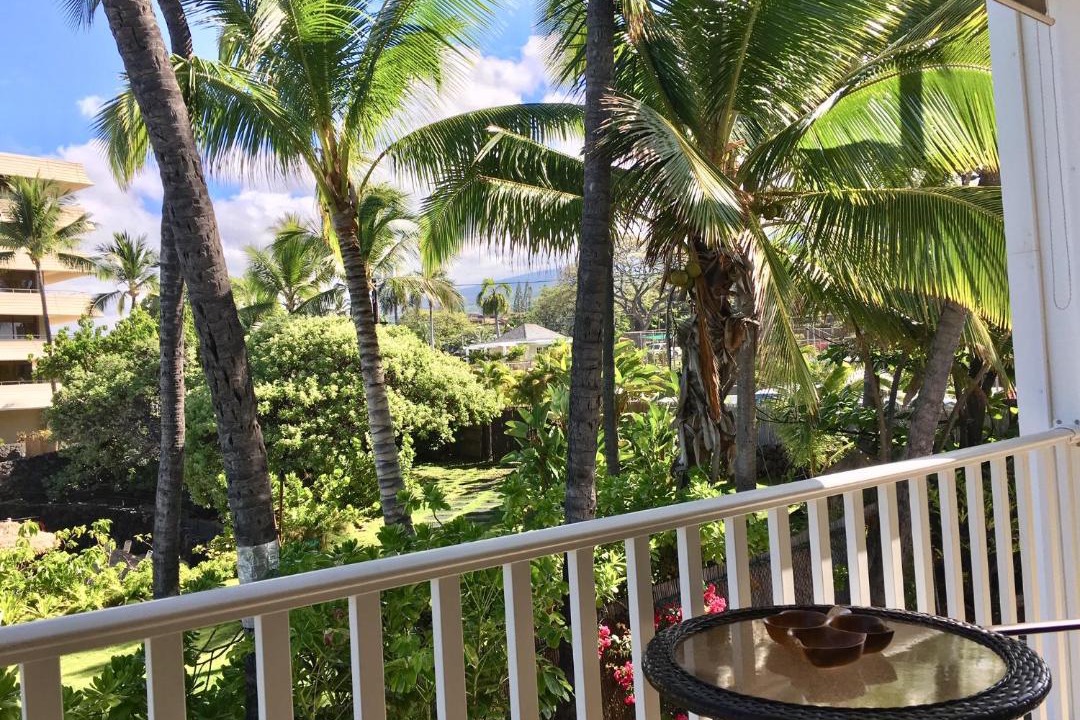 Photo of Others in Kailua-Kona