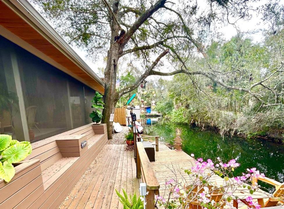 Photo of Others in Homosassa
