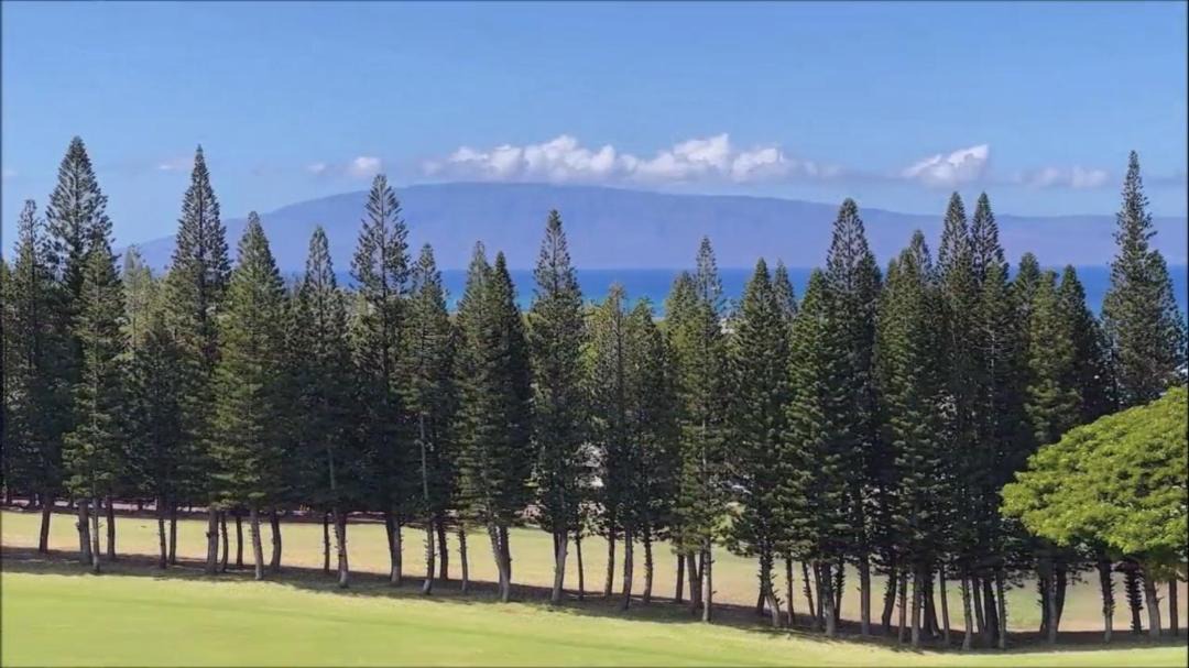 Photo of Others in Kapalua