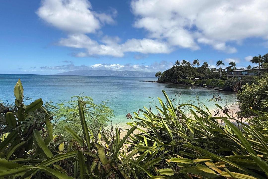 Photo of Others in Kahana