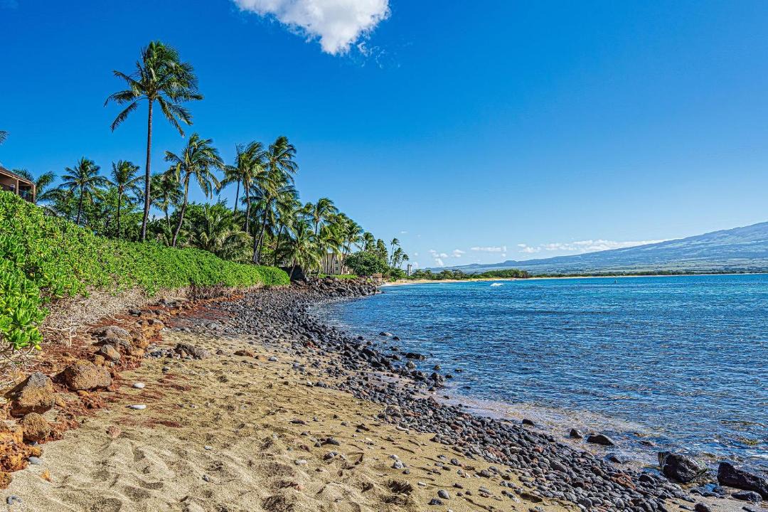 Photo of Others in Maalaea