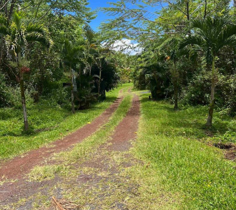 Photo of Others in Leilani Estates