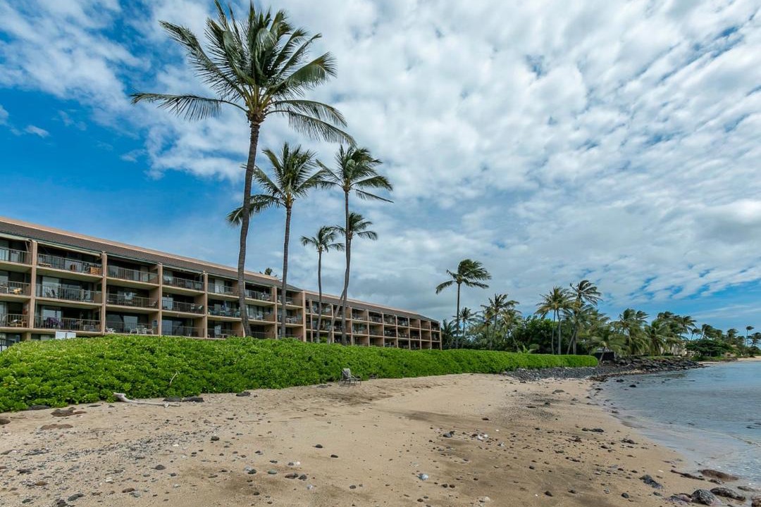 Photo of Others in Maalaea