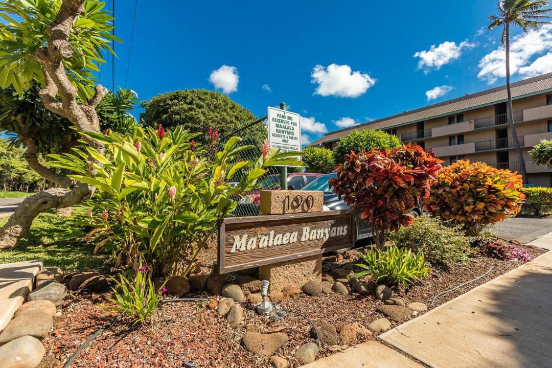 Photo of Others in Maalaea