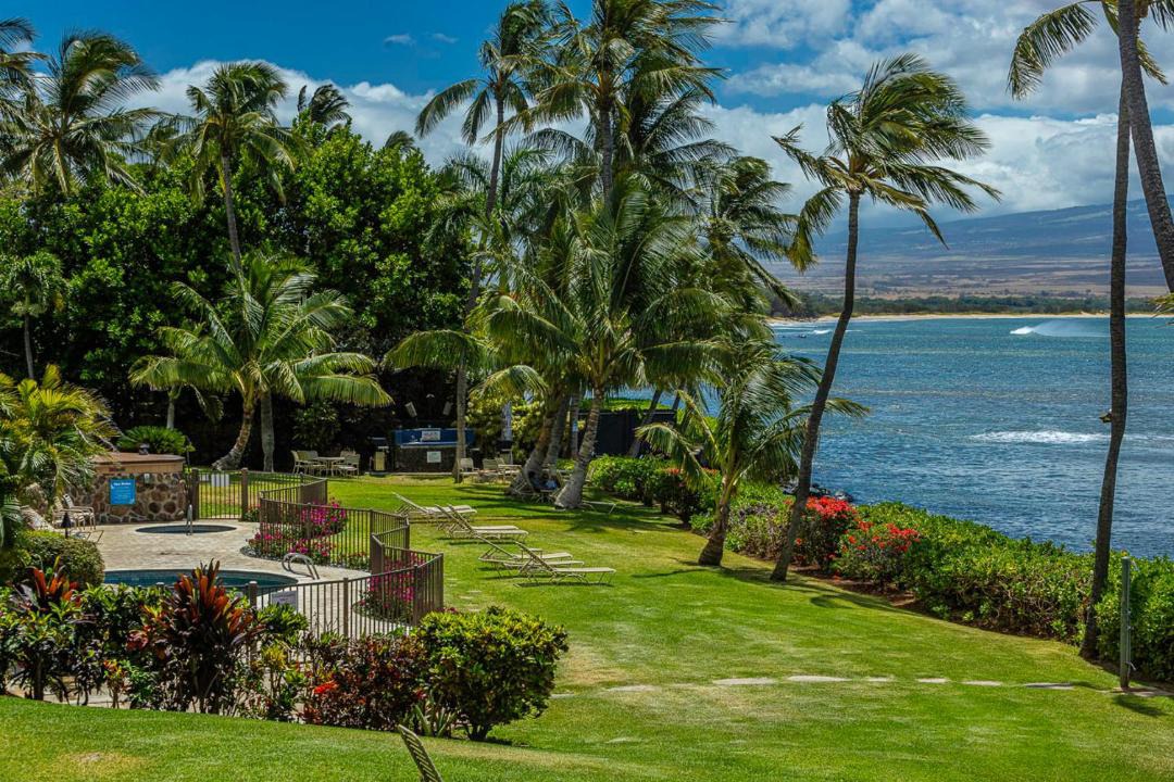 Photo of Others in Maalaea