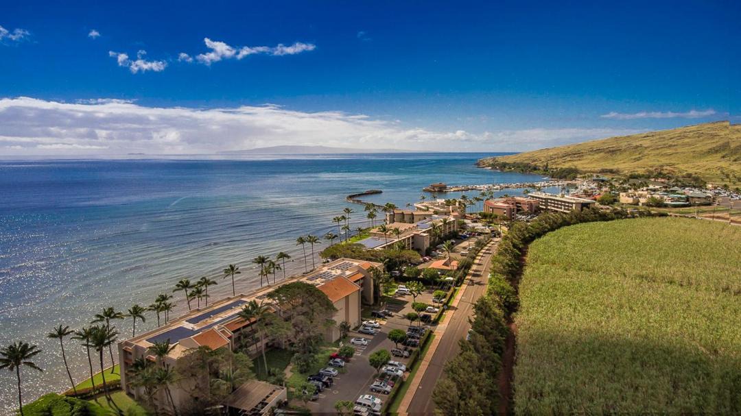 Photo of Others in Maalaea
