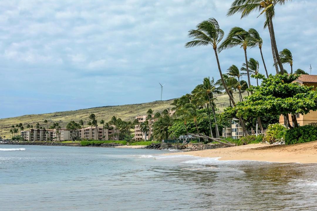Photo of Others in Maalaea