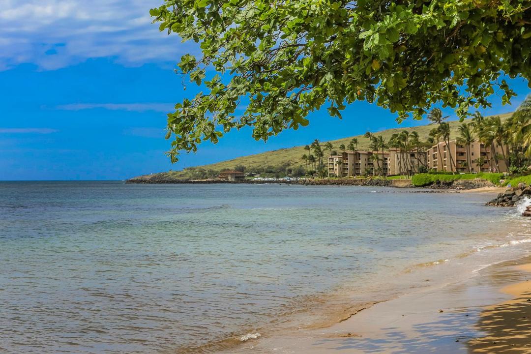 Photo of Others in Maalaea