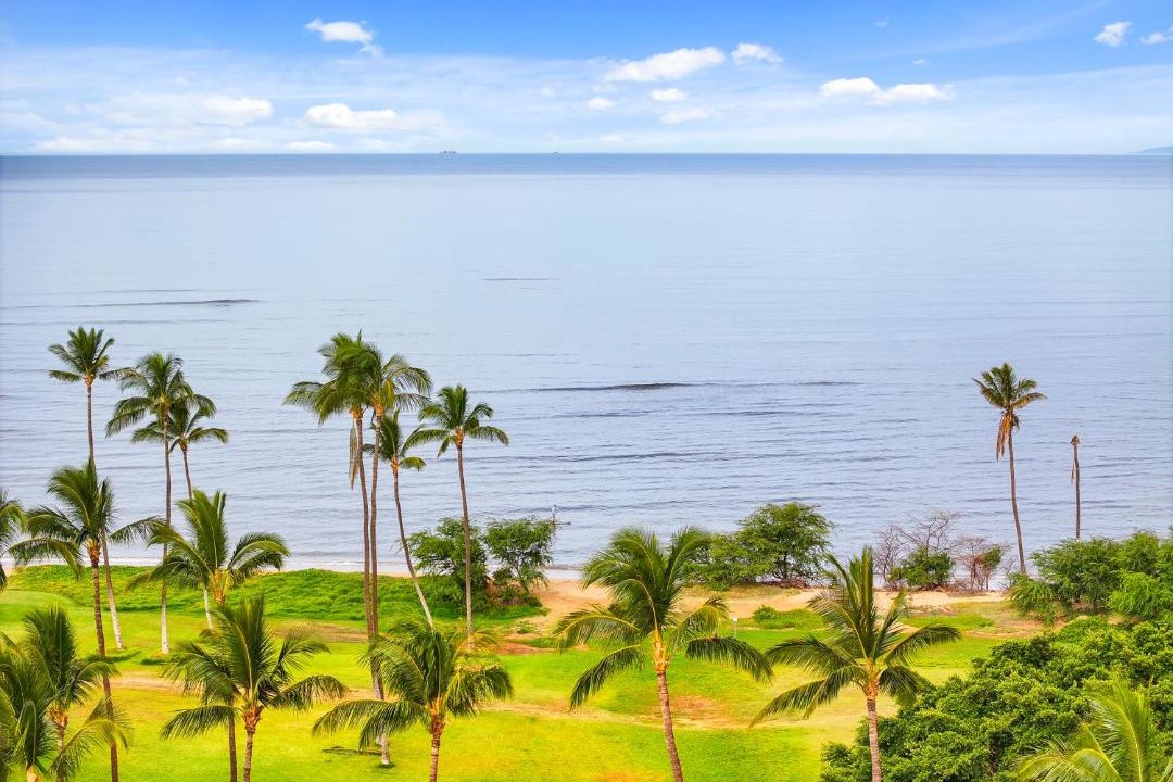 Photo of Others in Kihei