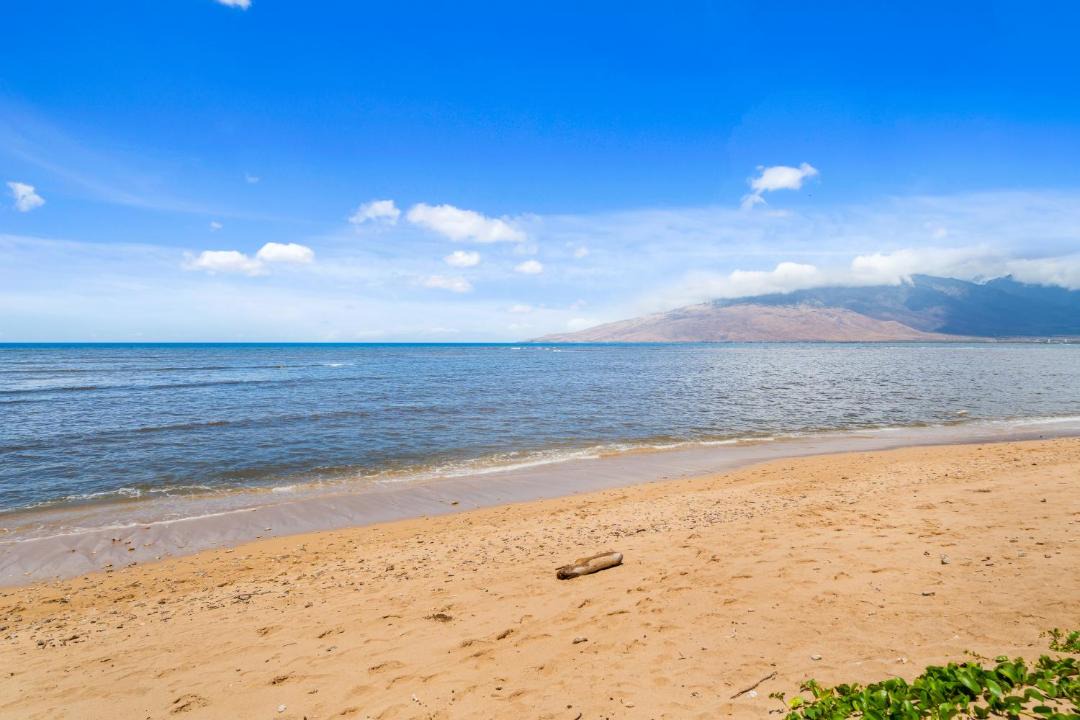 Photo of Others in Kihei