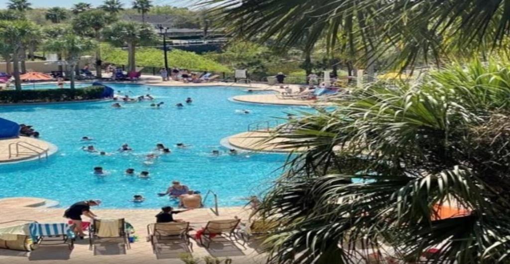 Photo of Others in Regal Palms