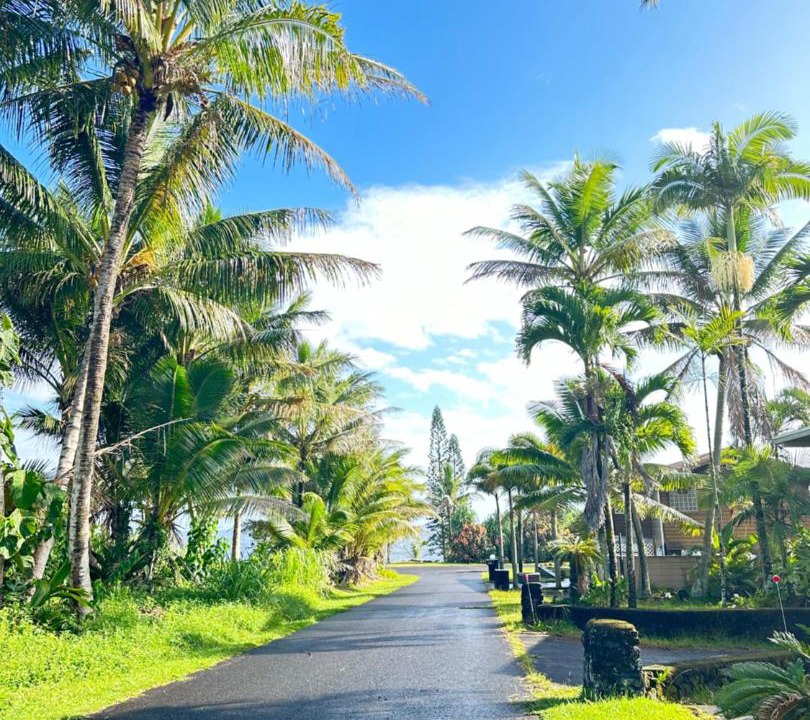 Photo of Others in Kapoho
